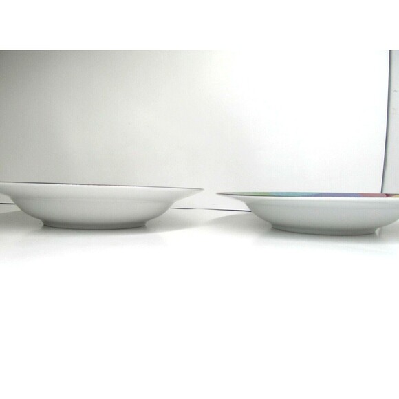 Mikasa California Currents 8.5" Rimmed Soup Bowls  Set of 2 - Picture 5 of 10